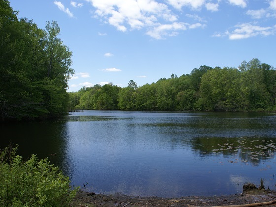 davidson mill lake Art