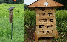 Pollinator Box