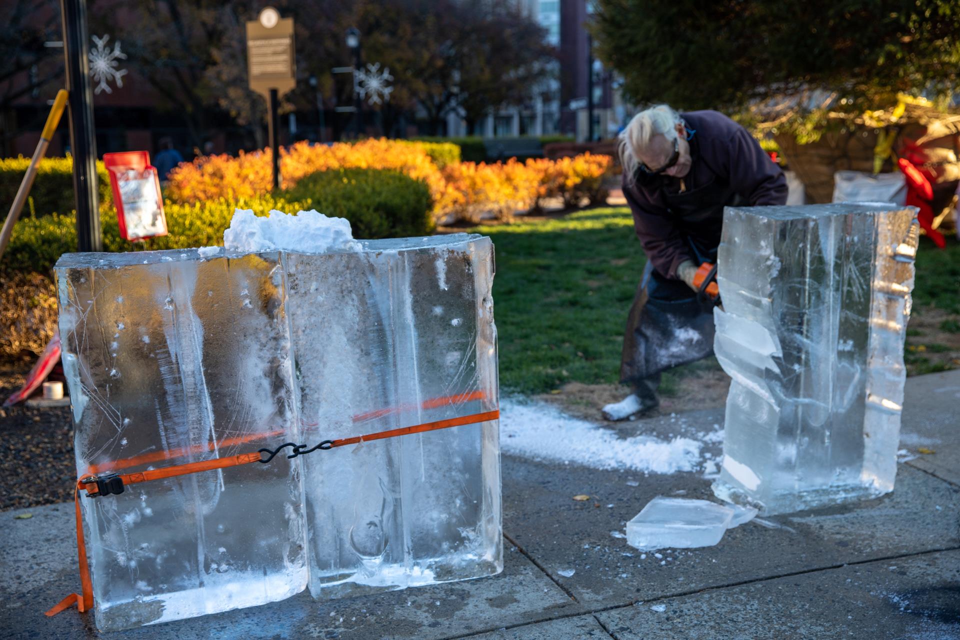 ice sculpting