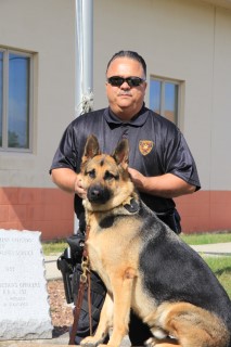 K-9 Ajax