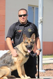 K-9 Kadence