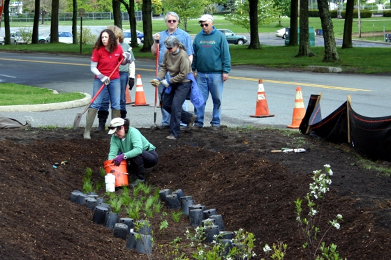 Rain Garden