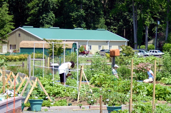 Earth Center Garden