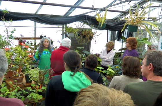 Master Gardeners in the Greenhouse